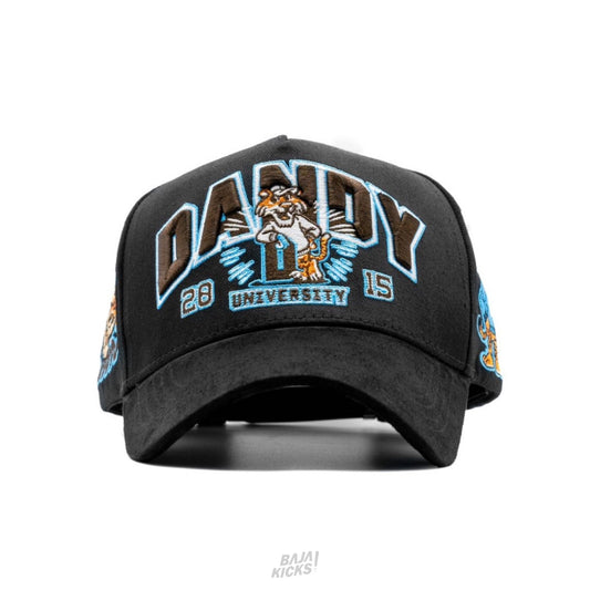 Dandy Hat University USA