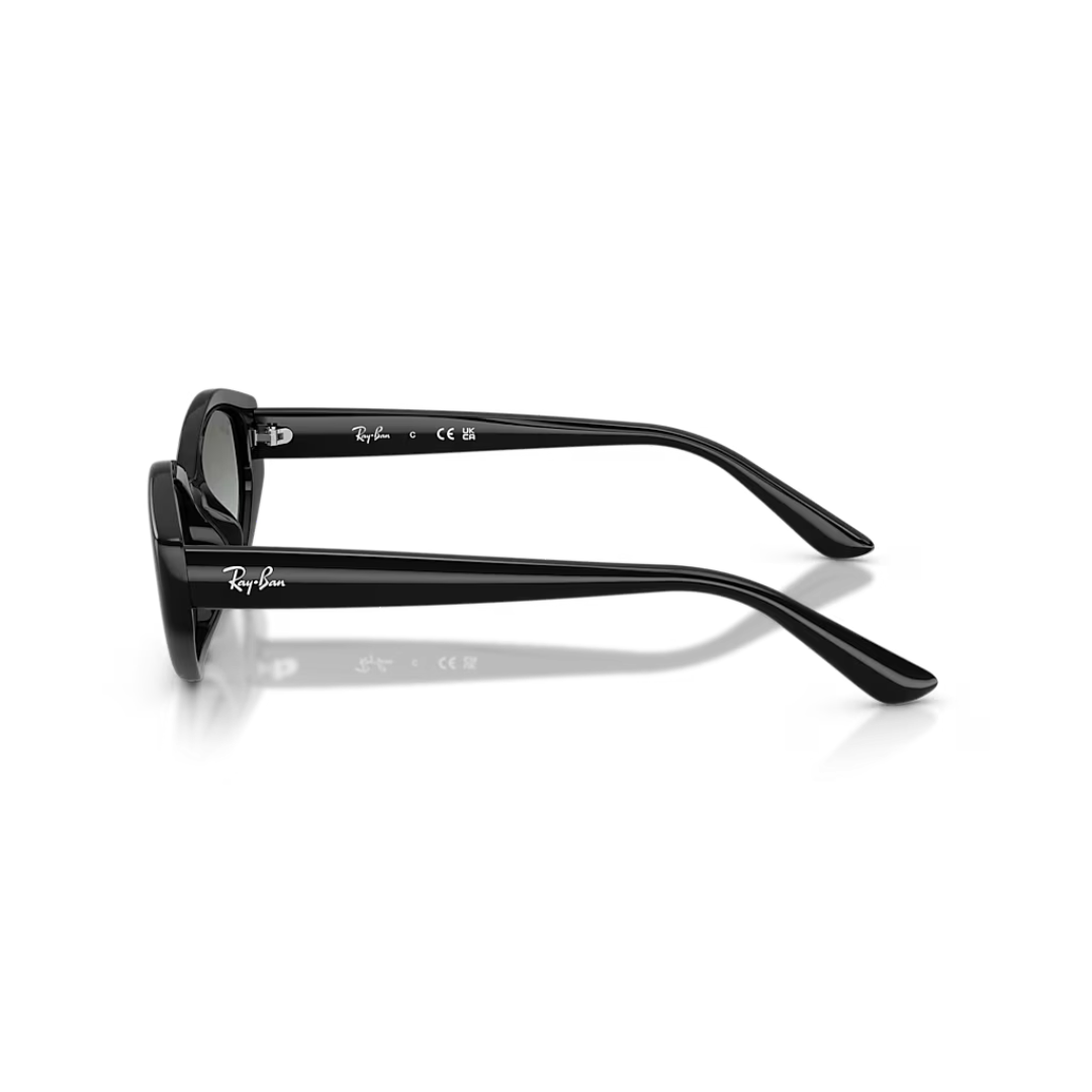 Ray-Ban RB4473D