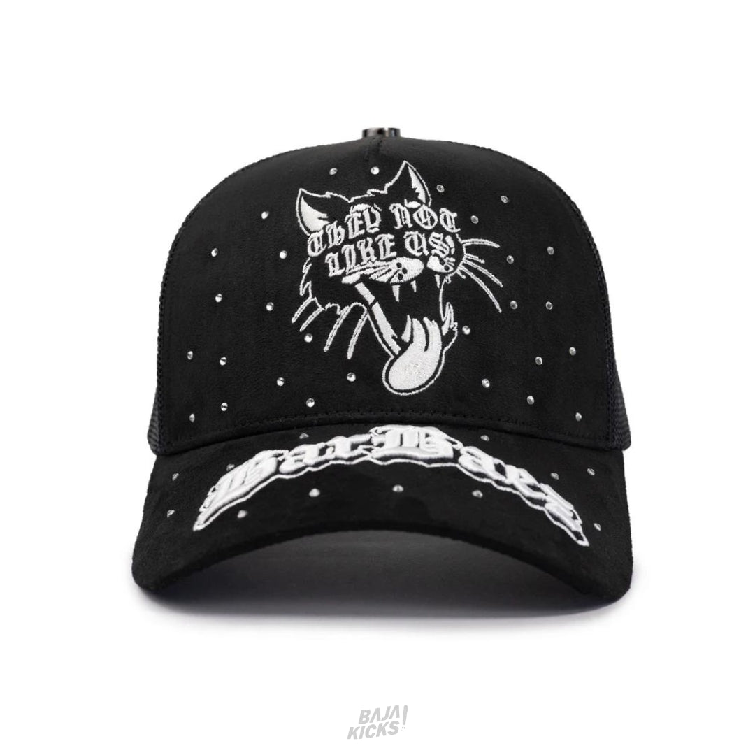 Barbaez They Not Like Us